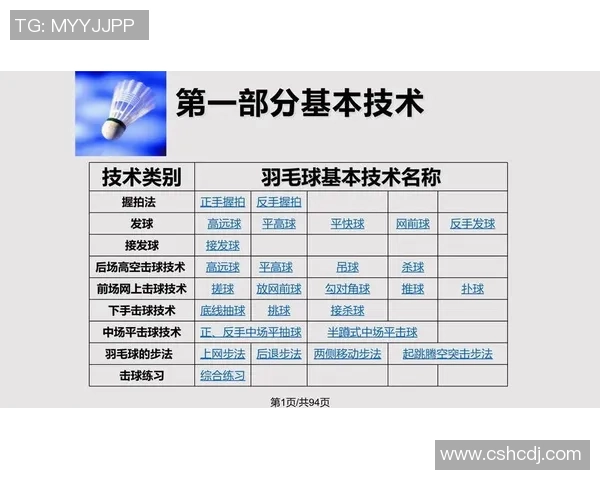 武汉羽毛球队在锦标赛中的战术表现分析与点评