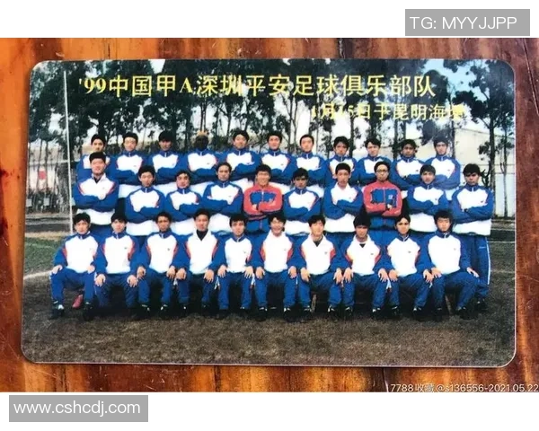 深圳排球队个人能力排名创新高展现新一轮竞技实力与团队协作精神