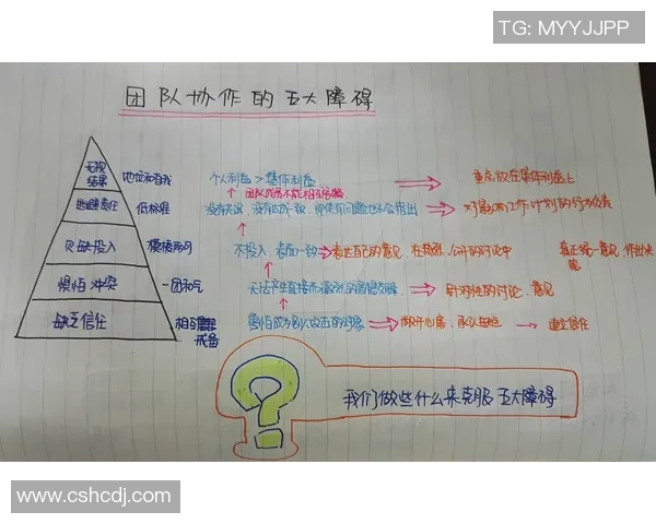 赛后分析：上海排球队与重庆排球队的团队协作表现及其影响因素探讨